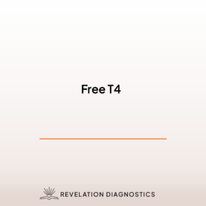 Free T4
