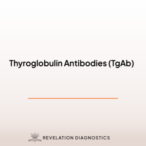 Thyroglobulin Antibodies (TgAb)